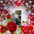 Natalie N Dave Ruwe's profile image
