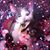 Tiffany Roberts's profile image