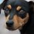 Tom Baltao's profile image