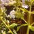 Janice Predmore's profile image