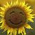 Bev Erley's profile image