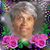 Jerri Taylor's profile image