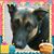 Stacy Hino's profile image