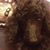 Audrey Lynn Oglesby's profile image