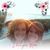 Michaela Rae Blosser's profile image