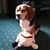Susan Fertig's profile image