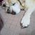Cindy Calhoun Galluzzi's profile image