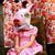 Nicole Formenti's profile image