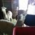 Lori Sherry's profile image