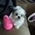 Lori Decremer-Creeger's profile image