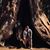 Kathaleen Greenwood's profile image