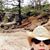 Adria Medina Aguirre's profile image