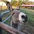 Dana Williams's profile image