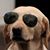 Tony Versey III's profile image