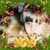 Melissa Anne's profile image