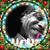 Raffa J Mos's profile image