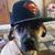Amanda Borchardt Clyde's profile image