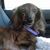 Patricia Mahoney's profile image