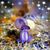 Tracy Wranovsky's profile image