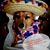 Kim Blevins's profile image