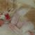 Myprettypersiansaz Persians's profile image