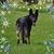 Sherri Banbury Lee's profile image