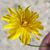 Crystal Toves's profile image
