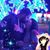 Ruben Mauricio Carmona's profile image