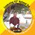 Neten Tshering's profile image