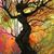 Julie A. Ewald's profile image