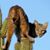 Jon Brown's profile image