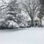 Cheri Beck Quattrocchi's profile image
