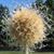 Sheri Chaney's profile image