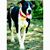 Cindy Gibbs's profile image