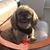 Sherry White's profile image