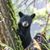 Terry Marsden's profile image