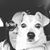 Christa Connors's profile image