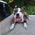 Mark Husse's profile image