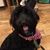Vickie Howard's profile image
