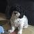 Patricia Maurine's profile image
