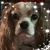 Charlene Imo's profile image