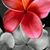 Suzie Yeager's profile image
