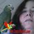 Mary Frances Akers's profile image