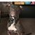 Joe Pagnozzi's profile image