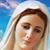Sokol Violeta Lula's profile image