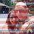 Melissa Dillow's profile image