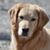 Marcia Seifert's profile image