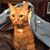 Janice Denow's profile image