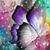 Triska Violet's profile image