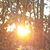 Christopher Allen-Poole's profile image